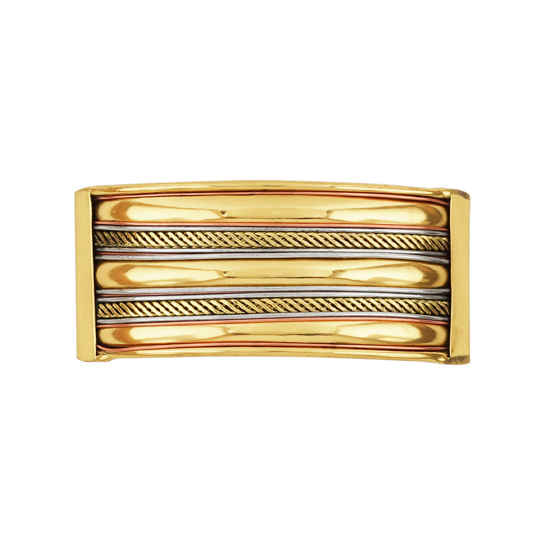 Teejh Jasleen old lossy Hair Pin