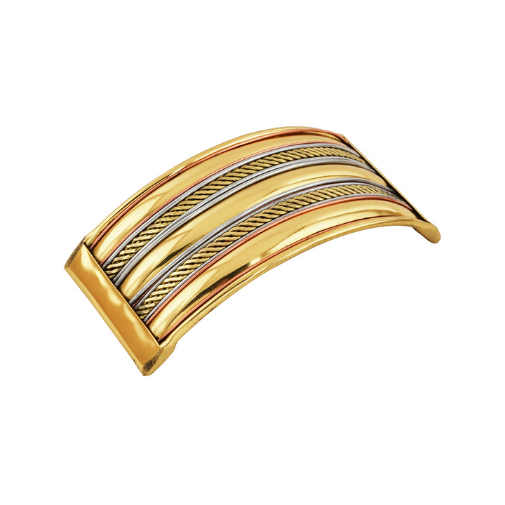 Teejh Jasleen old lossy Hair Pin