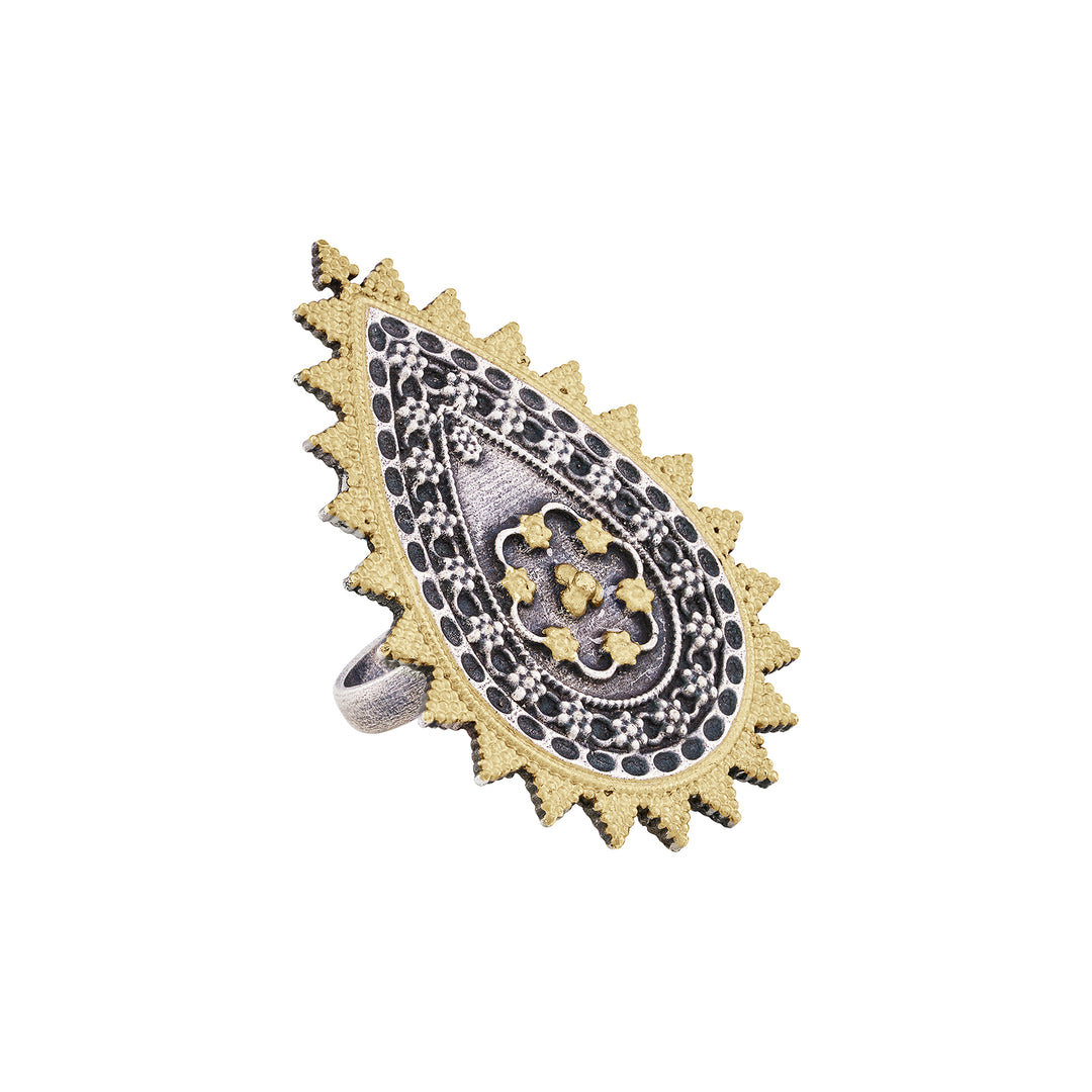 Teejh Soniha Gold and Silver Ring