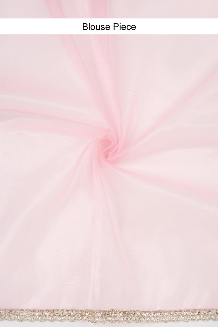 Teejh Rabina Light Pink Net Gota Saree