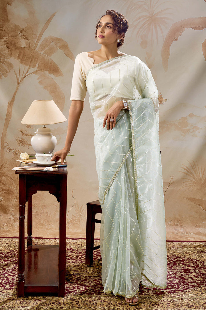 Teejh Rabina sage Green Net Gota Saree