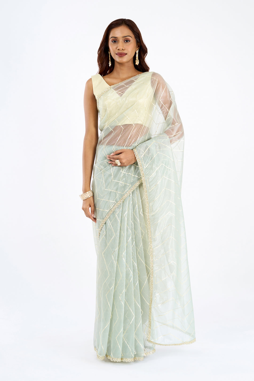 Teejh Rabina sage Green Net Gota Saree