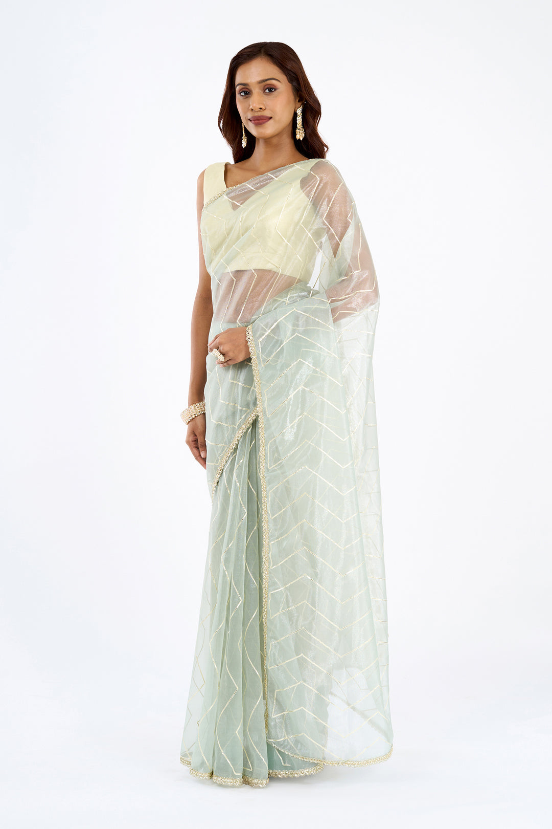 Teejh Rabina sage Green Net Gota Saree