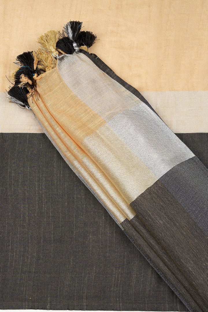 Teejh Chhaya Beige and Black Color Block Saree