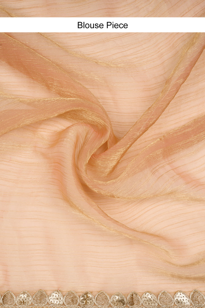 Pragnya Pastel pink Shimmer Chiffon Saree