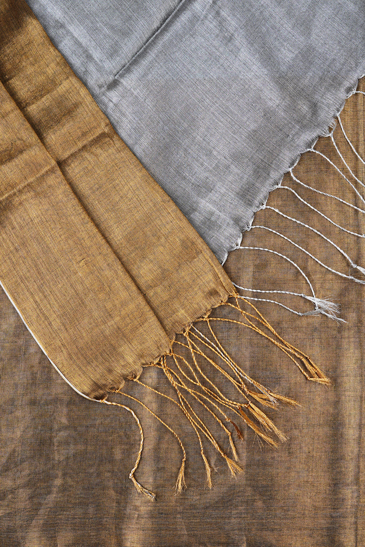Teejh Aaryani Gold and Silver Tissue Silk Saree