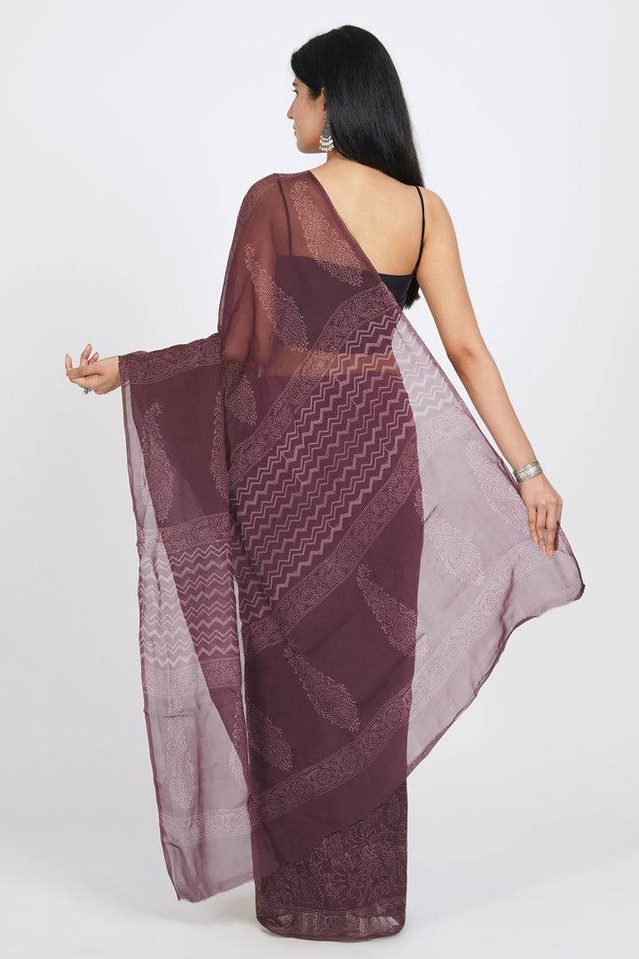 Teejh Shaoni Organza Saree