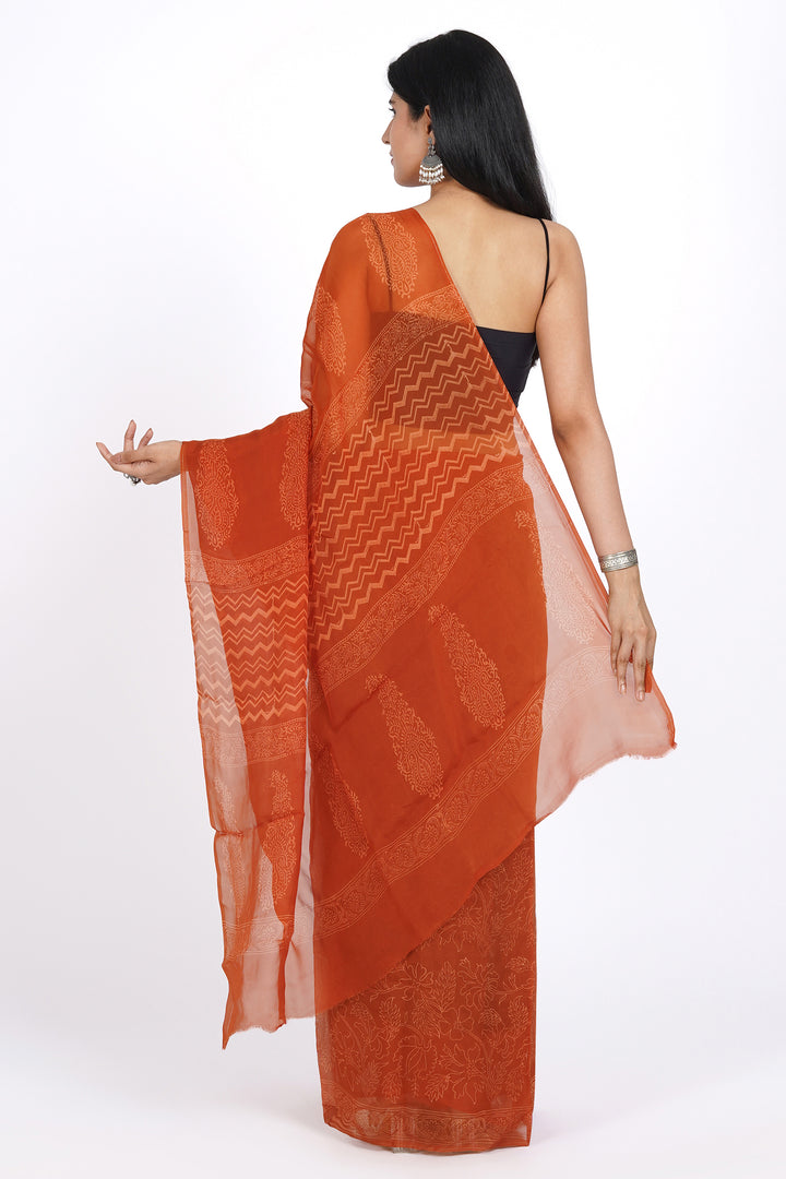 Teejh Rabi Organza Saree