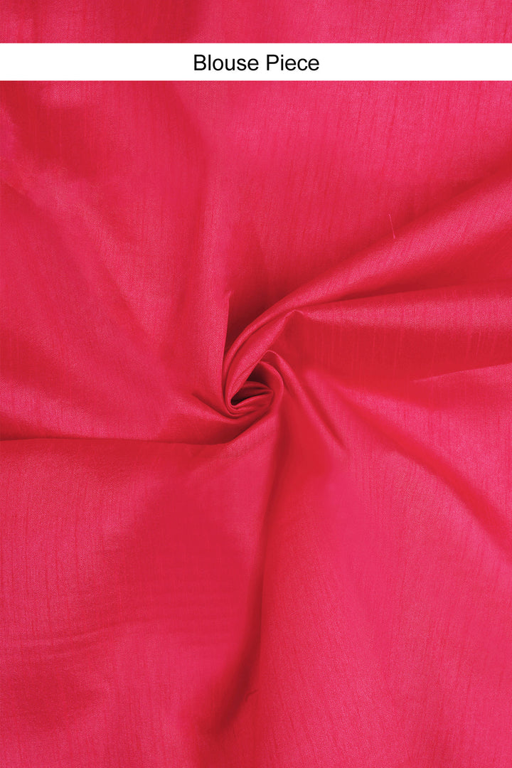 Teejh Spring Serenade Organza Saree
