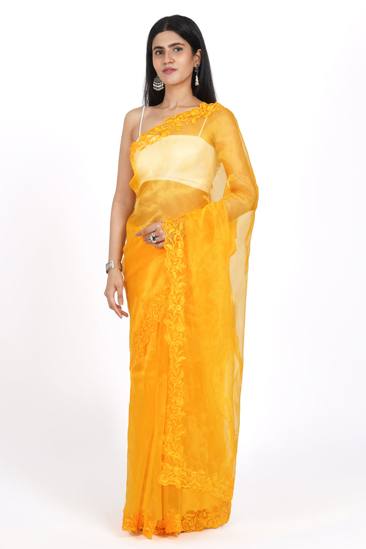 Teejh Sunlit Sakura Organza Saree