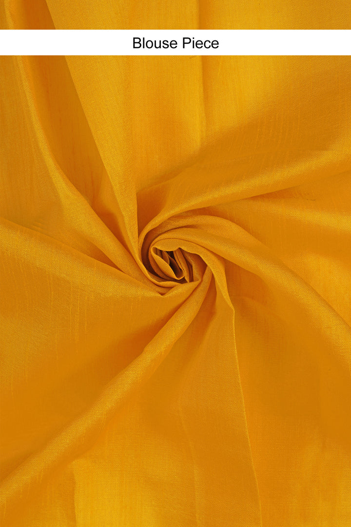 Teejh Sunlit Sakura Organza Saree