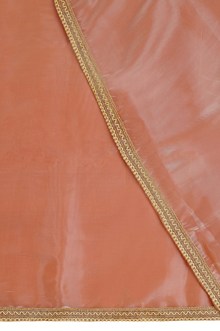 Teejh Coral Cascade Tissue Saree