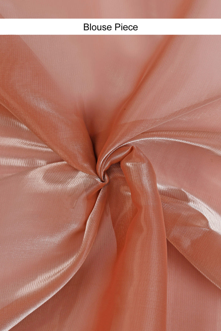 Teejh Coral Cascade Tissue Saree