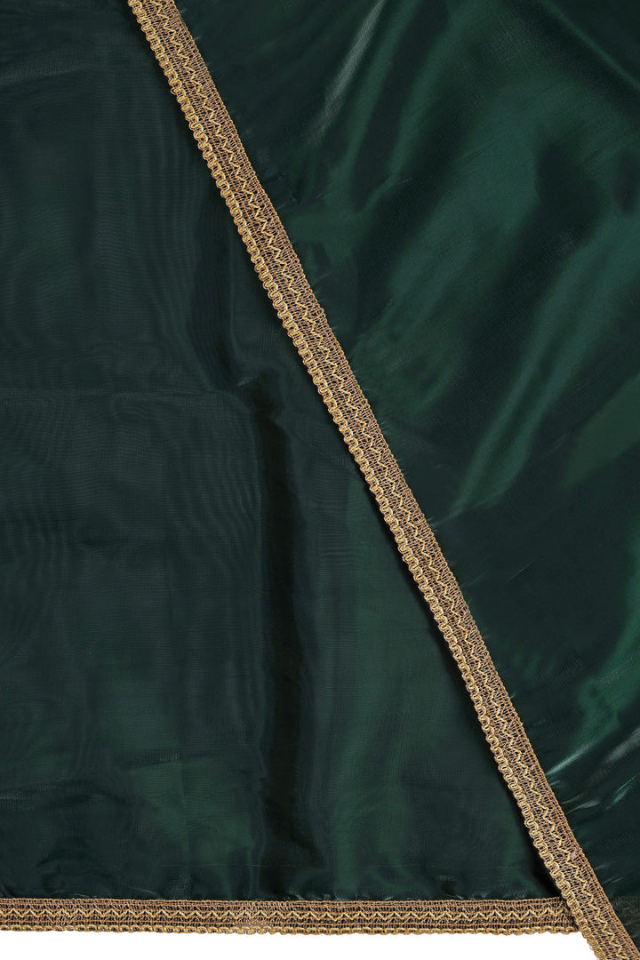 Teejh Emerald Elegance Tissue Saree