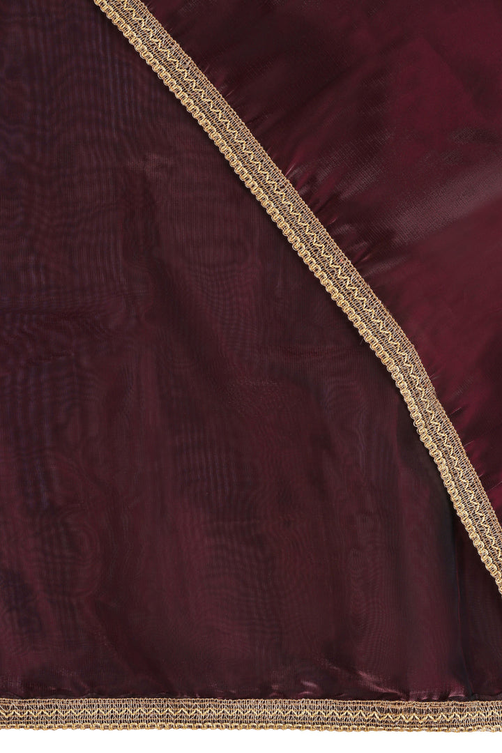 Teejh Red Velvet Tissue Saree