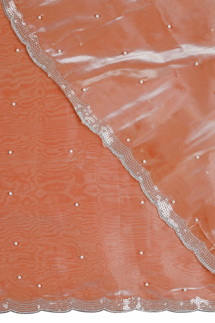 Teejh Pearly Peach Tissue Saree