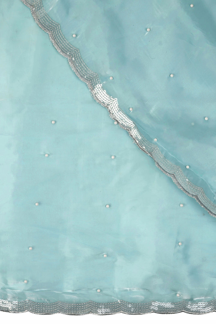 Teejh Morning Dew Pearl Tissue Saree