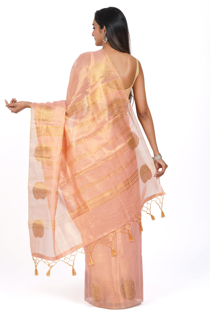 Teejh Bhavya Tissue Silk Saree