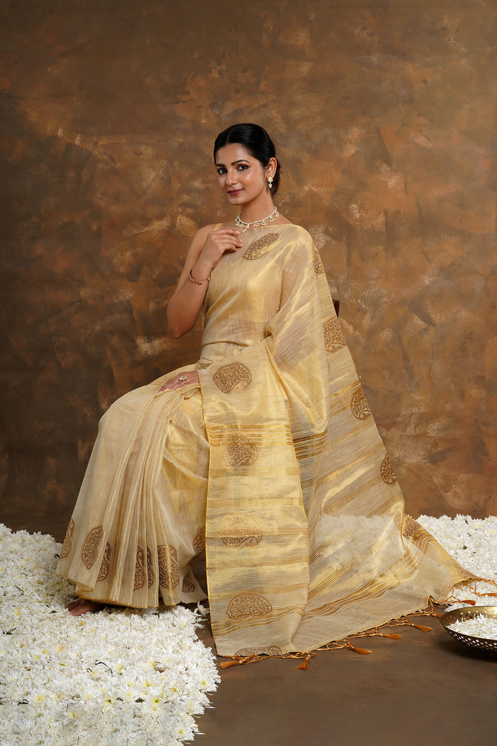 Teejh Devyani Tissue Silk Saree