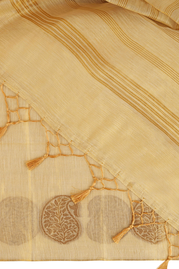 Teejh Devyani Tissue Silk Saree