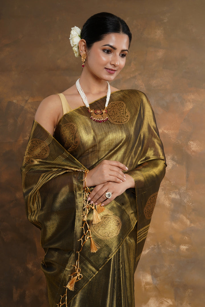 Teejh Indumati Tissue Silk Saree