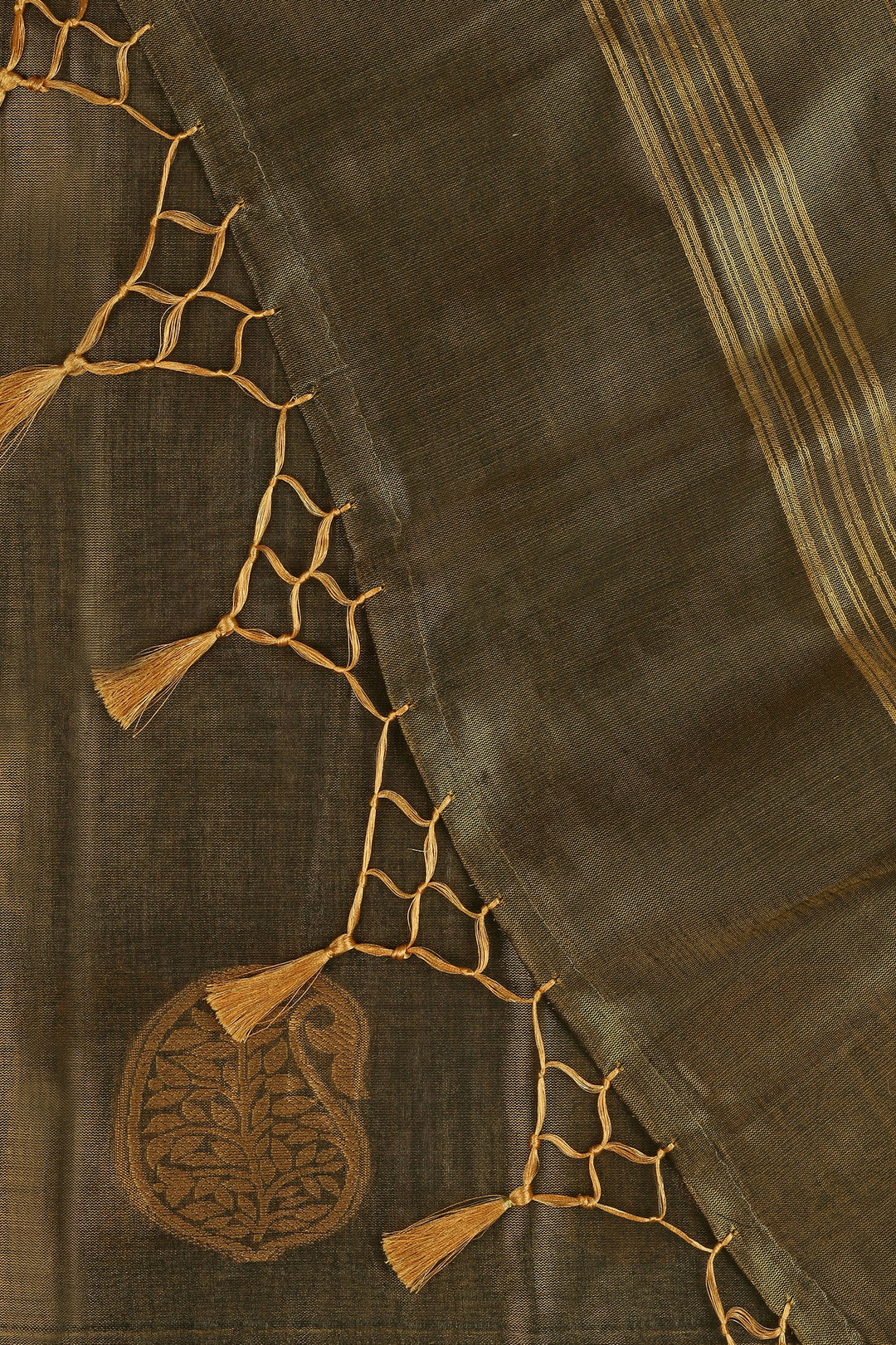 Teejh Indumati Tissue Silk Saree