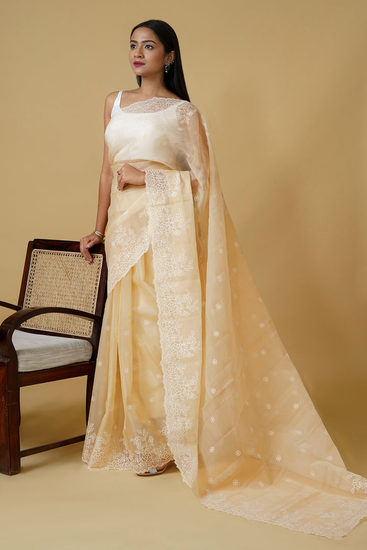 Teejh Manahil Embroidered Organza Saree