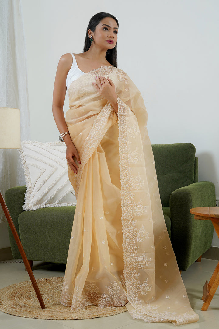 Teejh Manahil Embroidered Organza Saree