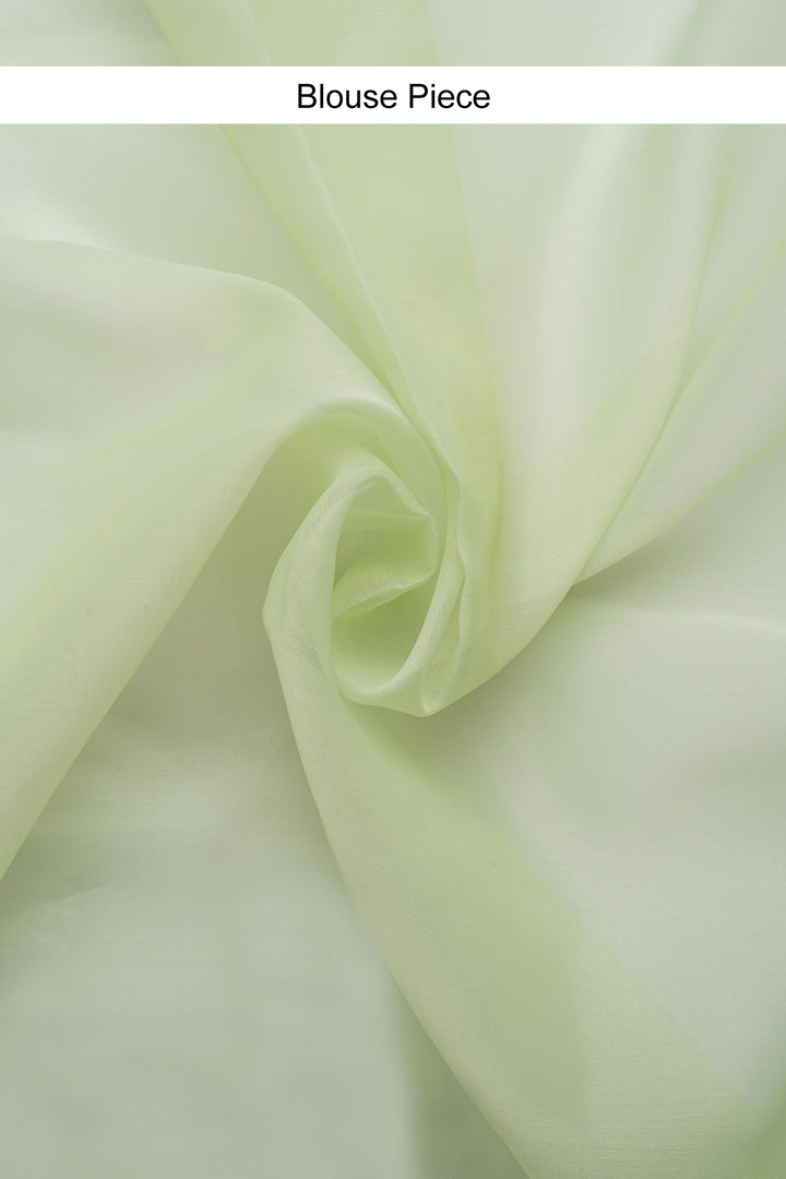 Teejh Vaishaka Embroidered Organza Saree
