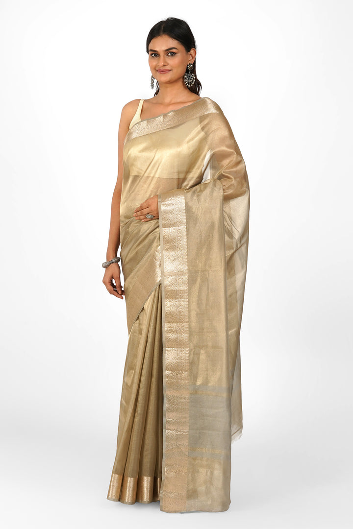 Geetanjali Silver Banarasi Tissue Saree