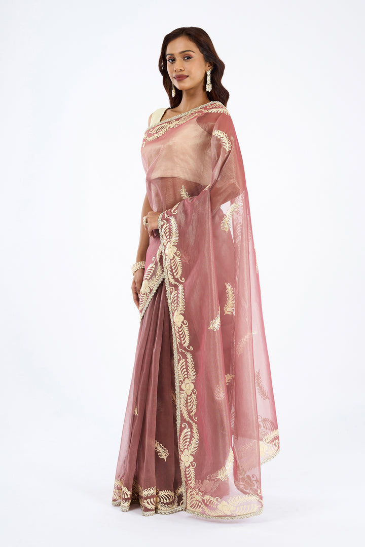 Teejh Raunaq Taupe Net Gota Saree
