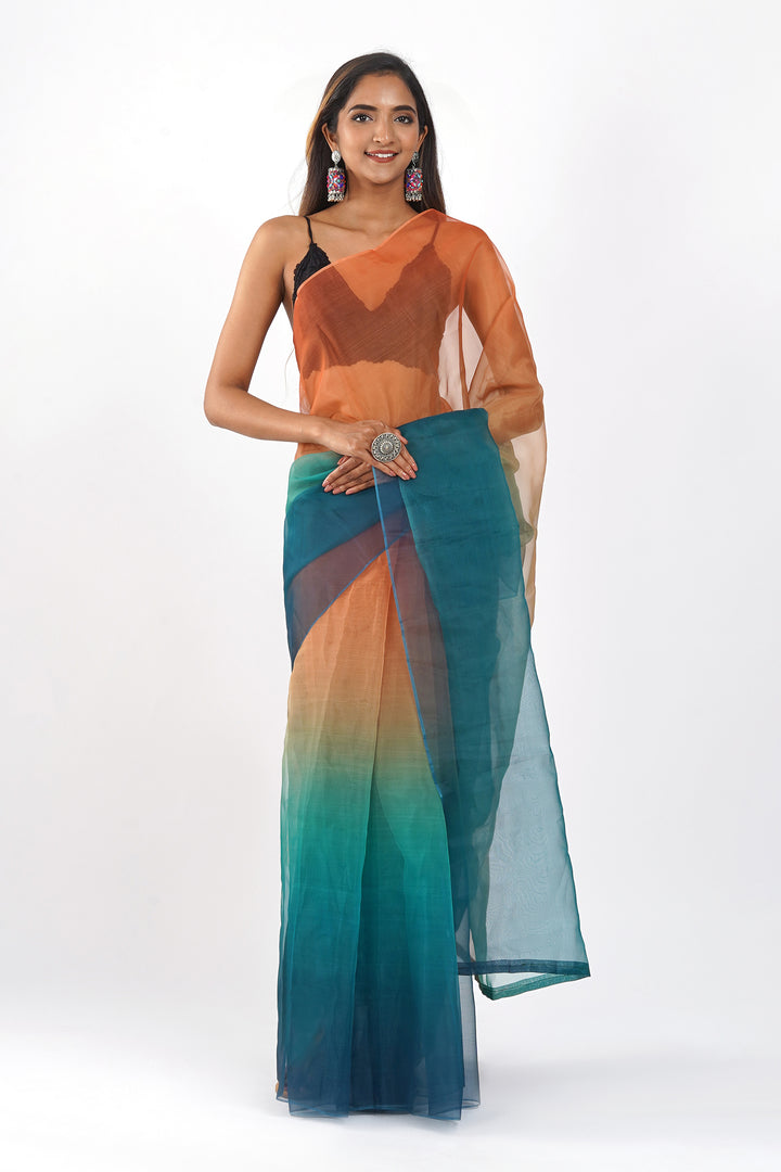 Teejh Chaayal Ombre Organza Saree