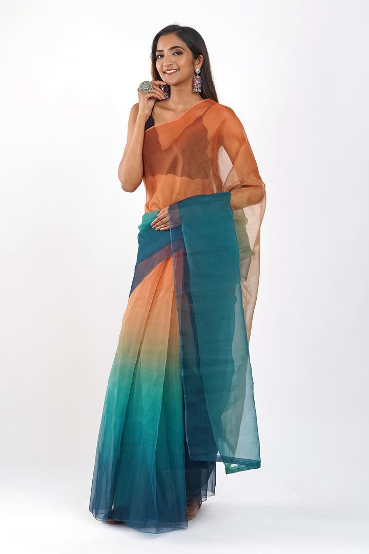 Teejh Chaayal Ombre Organza Saree