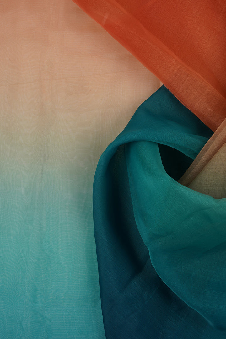 Teejh Chaayal Ombre Organza Saree