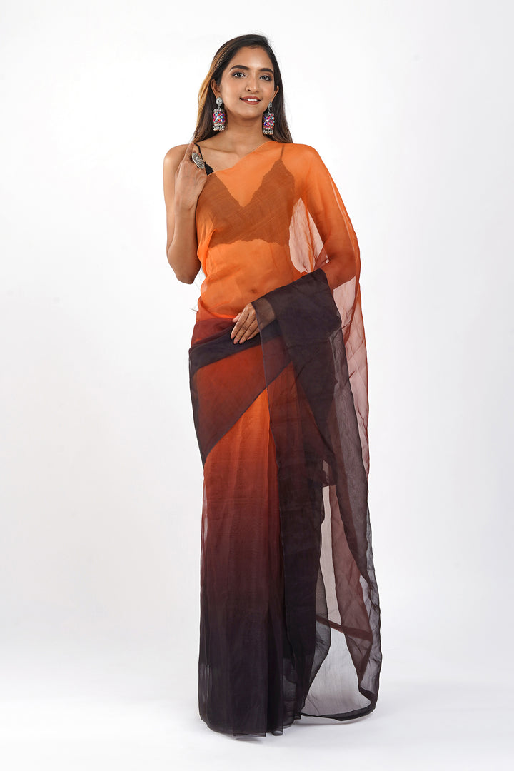 Teejh Aksaja Ombre Organza Saree