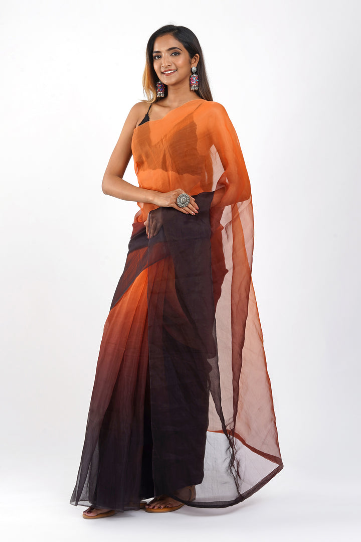 Teejh Aksaja Ombre Organza Saree