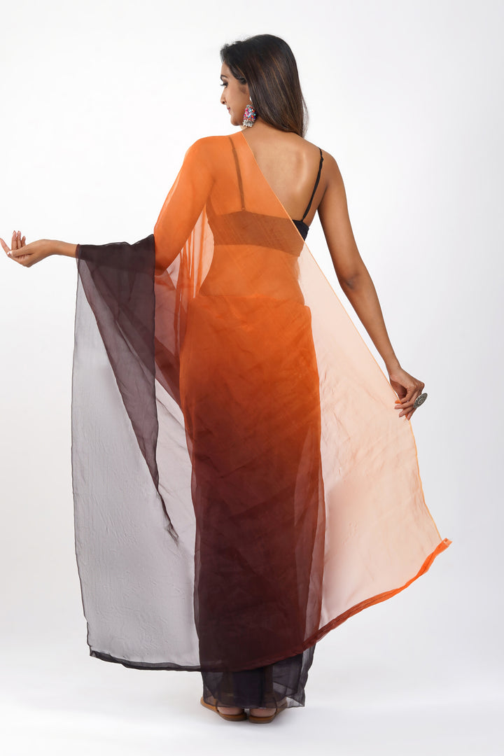 Teejh Aksaja Ombre Organza Saree
