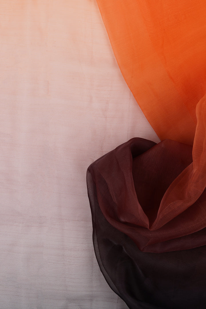 Teejh Aksaja Ombre Organza Saree