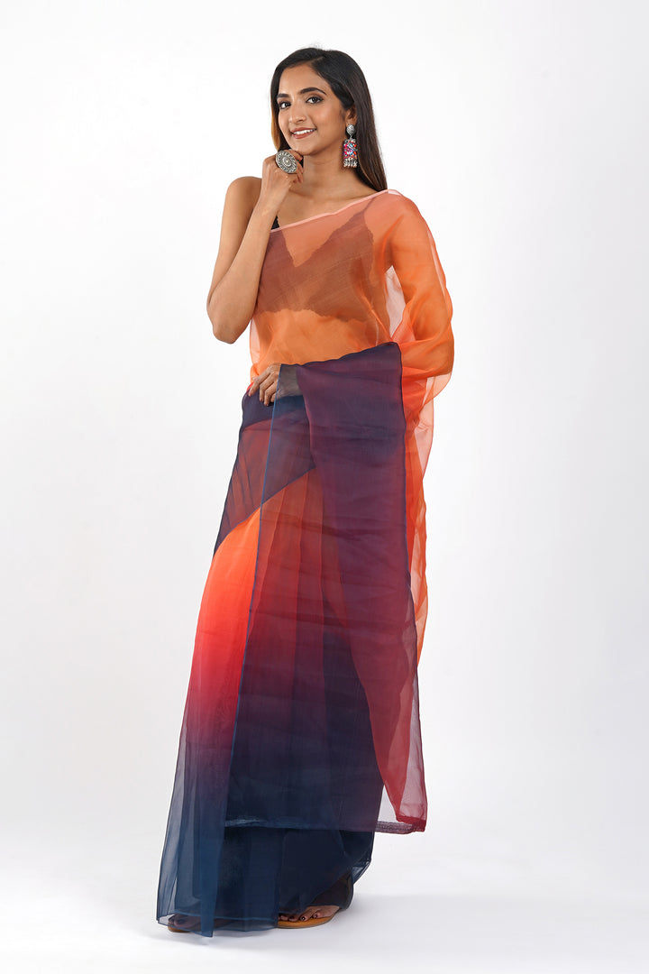 Teejh Vaanshi Ombre Organza Saree