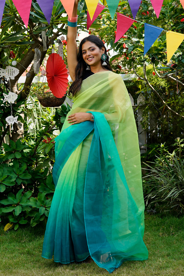 Teejh Zanshi Ombre Organza Saree