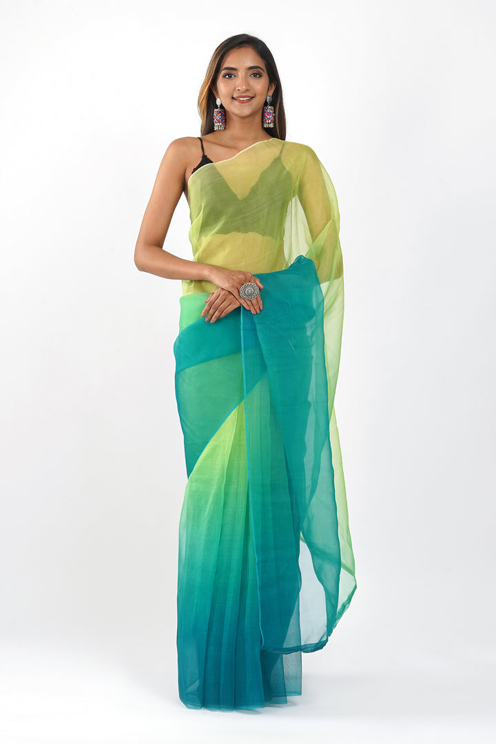 Teejh Zanshi Ombre Organza Saree
