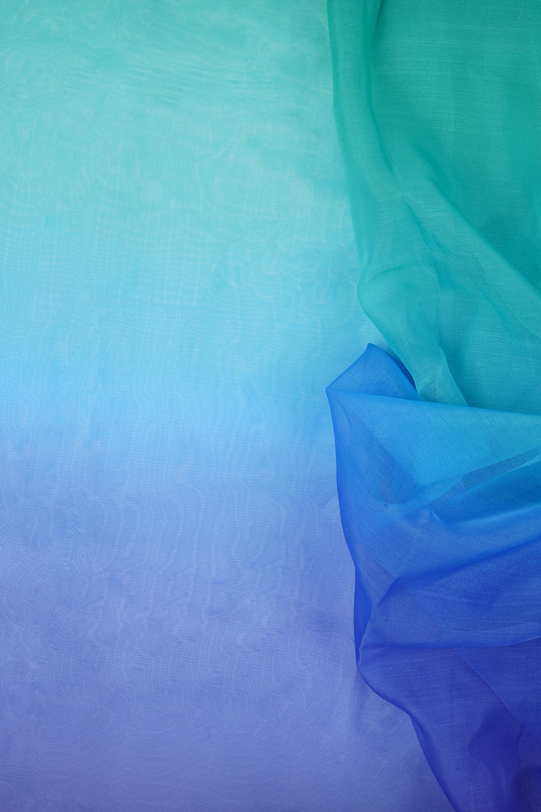 Teejh Ruvie Ombre Organza Saree