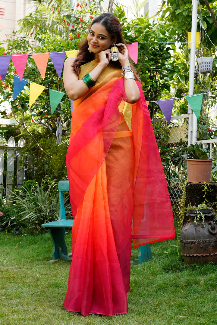 Teejh Oisha Ombre Organza Saree