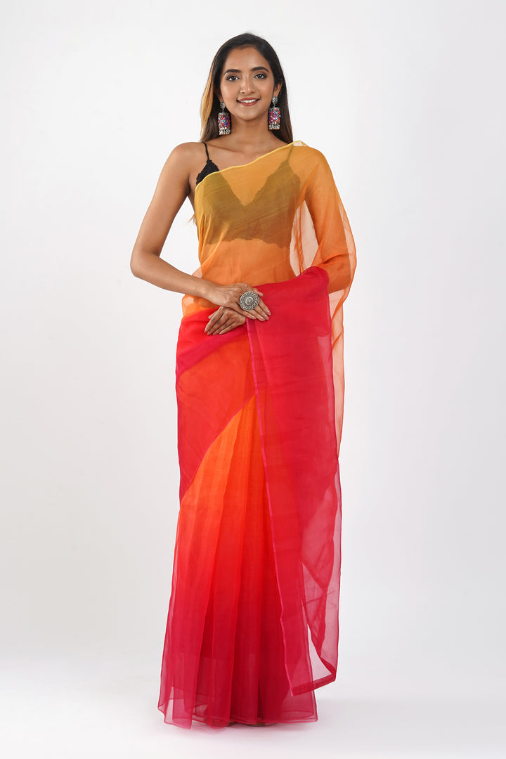 Teejh Oisha Ombre Organza Saree
