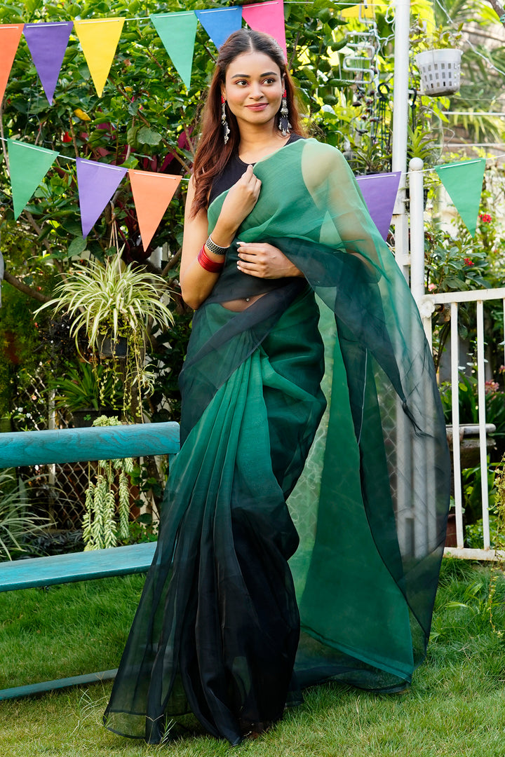 Teejh Miyra Ombre Organza Saree