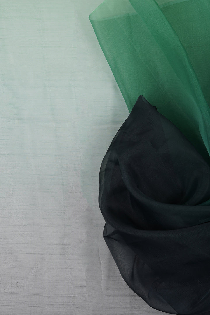 Teejh Miyra Ombre Organza Saree