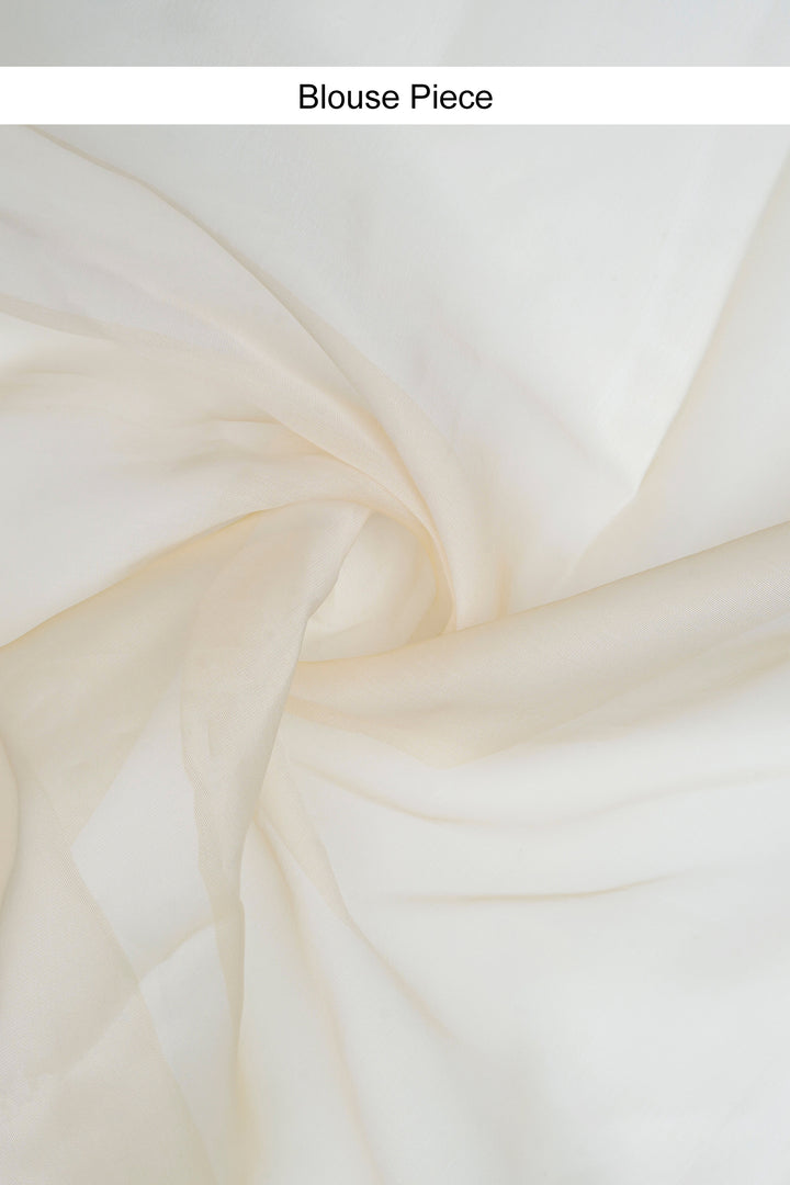 Teejh Aakruti Cream Sequin Embroidery Organza Saree