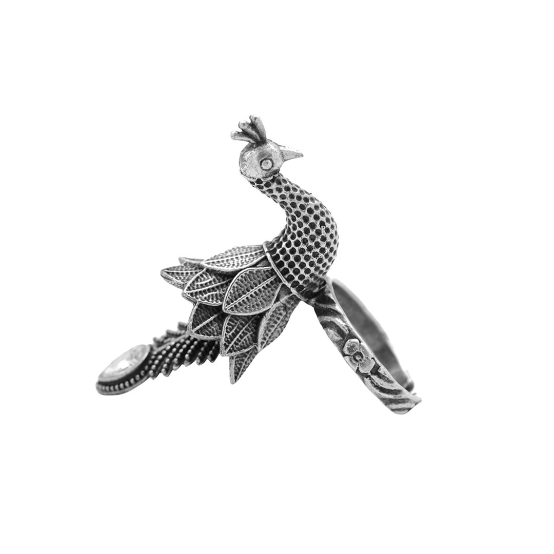 Teejh Jaina Silver Oxidised Jewelry Gift Set