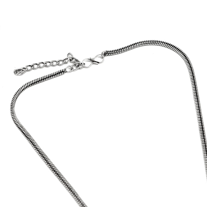 Pavaki Multi Colored Silver Oxidized  Pendant Set - Teejh