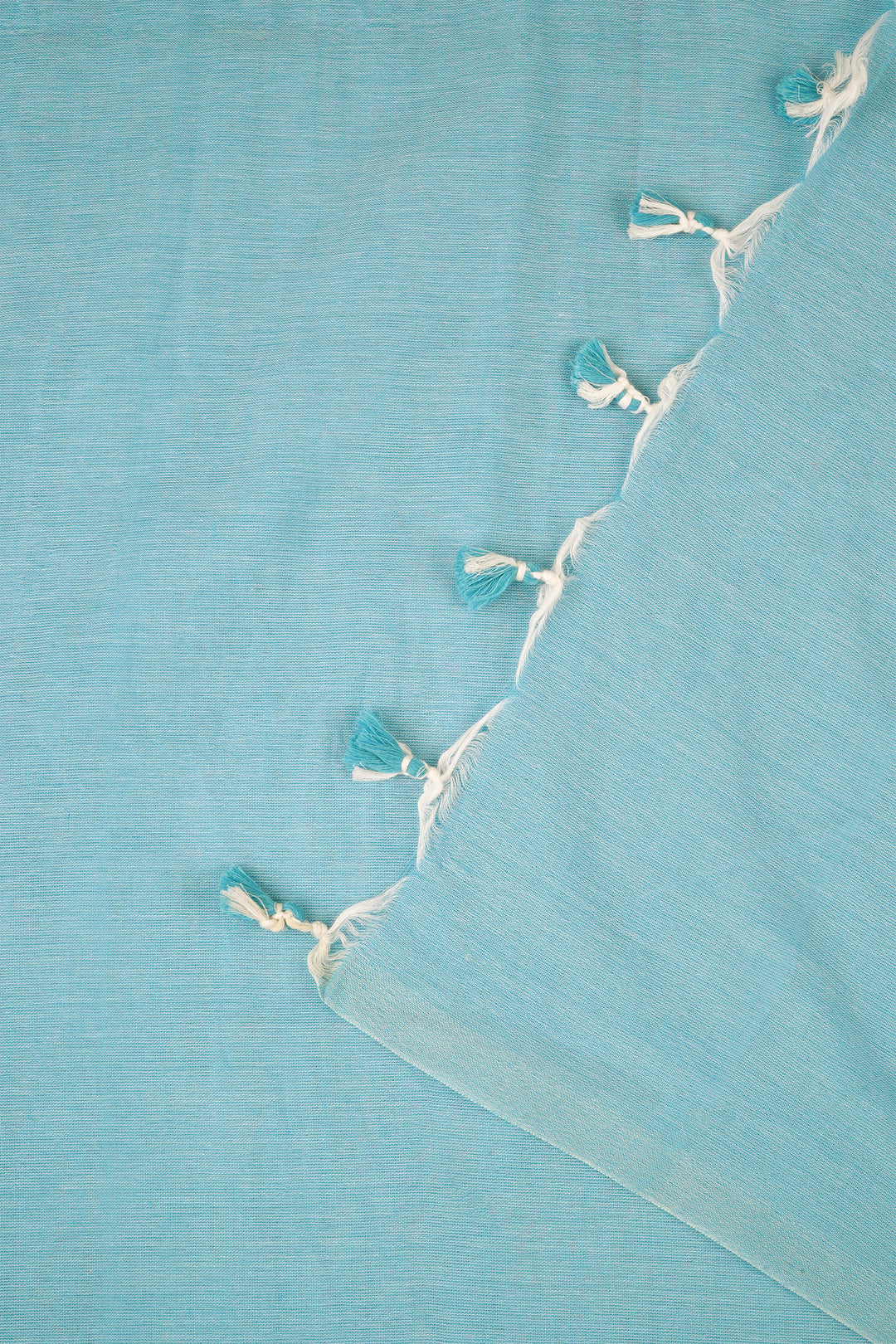 Teejh Takshi Light Blue Mulmul Saree